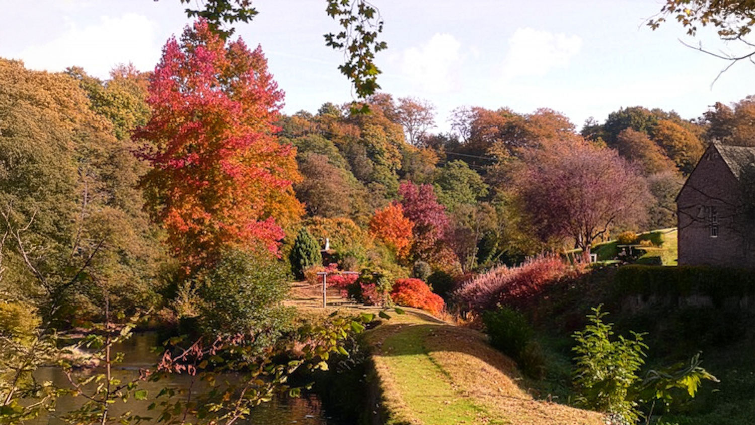 In the Press… Daily Telegraph