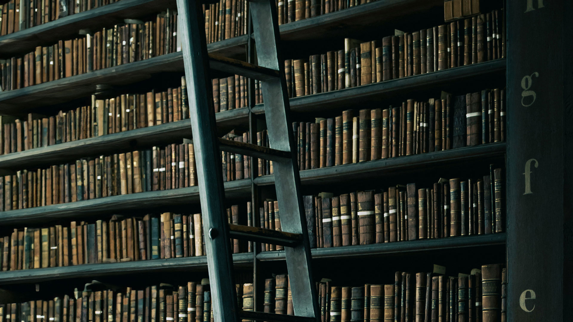 The library is making a return in our homes