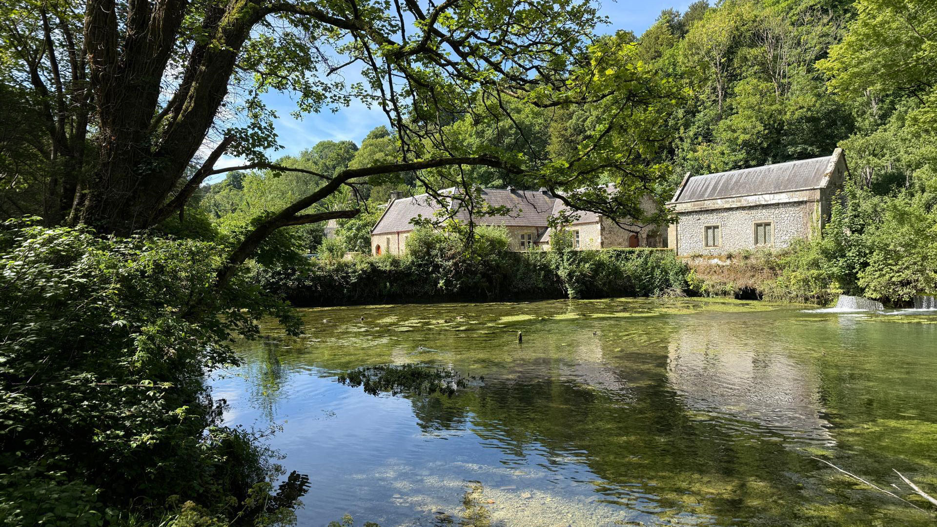 The secret world of off market listings
